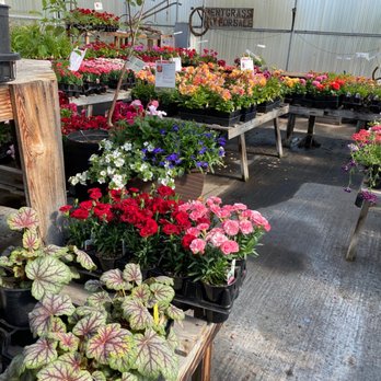 Campbell Farms - Nurseries & Gardening Near Me - Woodburn, Oregon Campbell Farms - Nurseries & Gardening Near Me - Woodburn, Oregon