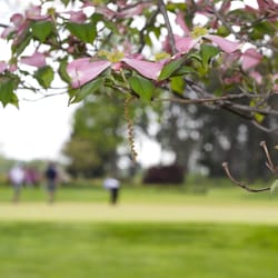 Bellewood Country Club