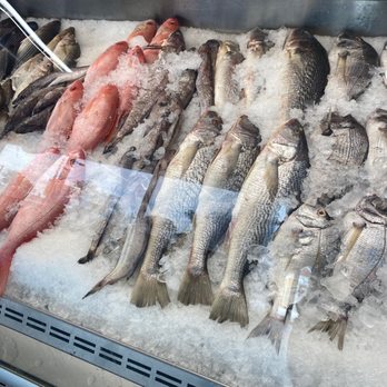 Harford Seafood Market - Red Snapper,croaker, white perch, lake trout, Rock fish, also Black Bass - Seafood Markets Near Me - Baltimore, Maryland