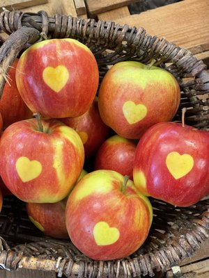 APPEL HAPPEL by null