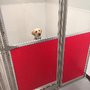 Photo of Indulge Pet Resort