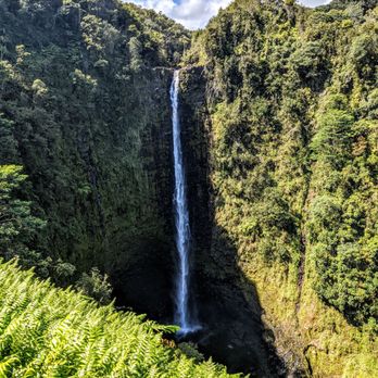 Akaka Falls State Park - Parks Near Me - Honomu, Hawaii Akaka Falls State Park - Parks Near Me - Honomu, Hawaii