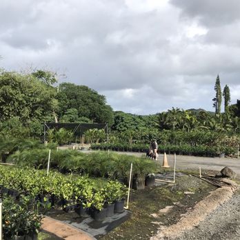 The Plant Place - Nurseries & Gardening Near Me - Waimanalo, Hawaii