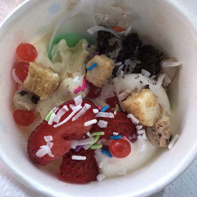 Coastal Frozen Yogurt by null