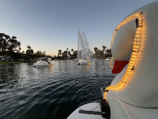 Echo Park Swan Boats by Wheel Fun Rentals by null
