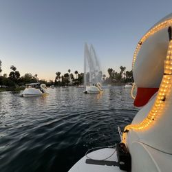 Echo Park Swan Boats - Wheel Fun Rentals - Swan boats in the twilight hours