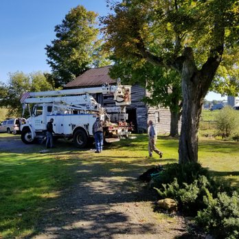 R BENTLEY TREE SERVICE - Gloversville, New York R BENTLEY TREE SERVICE - Gloversville, New York