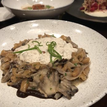 Pogo's Kitchen - Mushroom stroganoff - Southern Near Me - Fernandina Beach, Florida Pogo's Kitchen - Mushroom stroganoff - Southern Near Me - Fernandina Beach, Florida