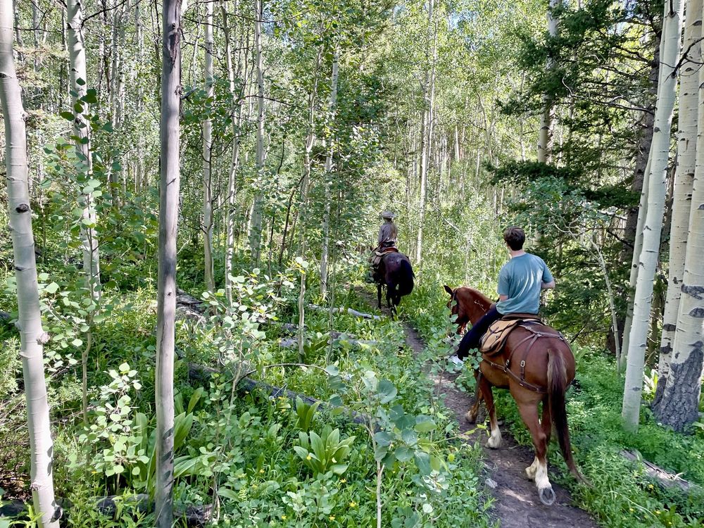 Telluride Wranglers Logo