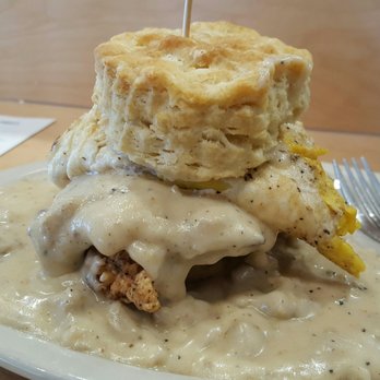 Maple Street Biscuit - Gainesville - 2nd look - Breakfast & Brunch Near Me - Gainesville, Florida