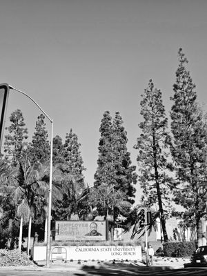 California State University Long Beach by null