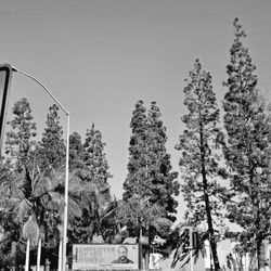 California State University Long Beach - Welcome to " Go Beach "!