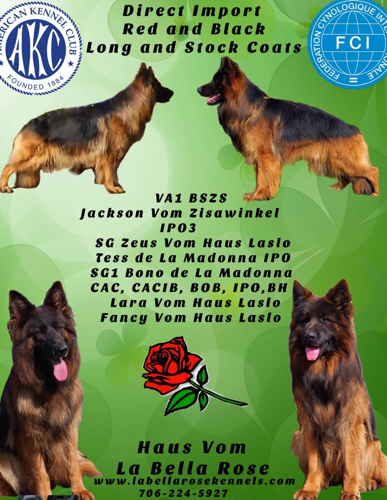 LA BELLA ROSE KENNELS Updated April 2024 Jefferson, Pet