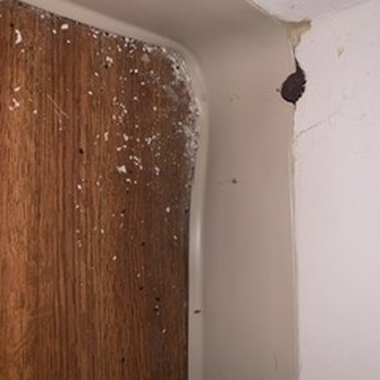 Hallkeen Management - Mouse hole - Property Management Near Me - Norwood, Massachusetts
