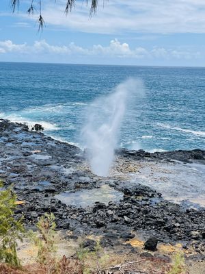 Spouting Horn by null