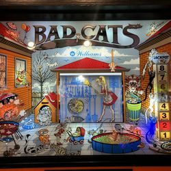 Pinbug Pomona - Bad Cats