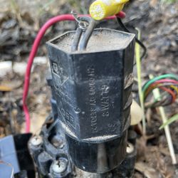 Dennis Trees service