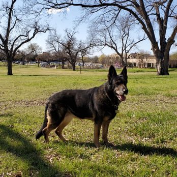 Pet Memories Cremation Service - Pet Cremation Services Near Me - Rockwall, Texas Pet Memories Cremation Service - Pet Cremation Services Near Me - Rockwall, Texas