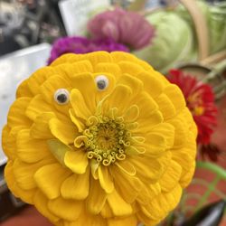 Lexington Farmers' Market