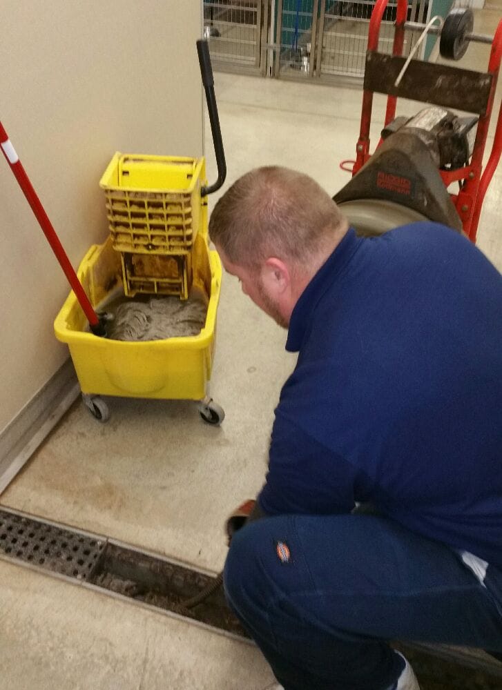 Slide of Elite Drain Cleaning & Water Damage Professionals