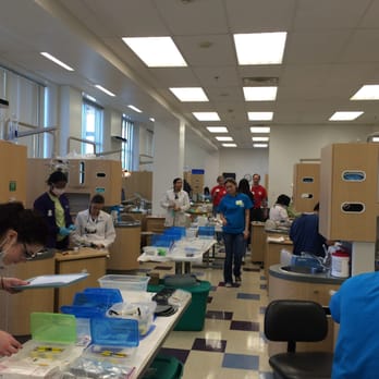 Northern Virginia Community College - Eleventh Northern Virginia Mission of Mercy Project - Colleges & Universities Near Me - Springfield, Virginia