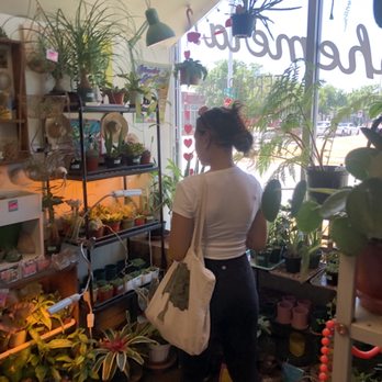 Ephemera Terrariums - Plants - Gift Shops Near Me - Fort Worth, Texas Ephemera Terrariums - Plants - Gift Shops Near Me - Fort Worth, Texas