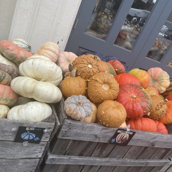 Riverwards Produce - Variety of pumpkins - Fruits & Veggies Near Me - Philadelphia, Pennsylvania