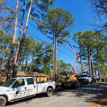North Alabama Tree Sevice - Tree Services Near Me - Harvest, Alabama North Alabama Tree Sevice - Tree Services Near Me - Harvest, Alabama