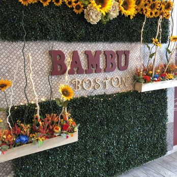 BAMBU - Bubble Tea Near Me - Dorchester, Massachusetts