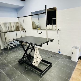 PetTastic Boutique - Our lovely grooming - Pet Stores Near Me - Sebastian, Florida PetTastic Boutique - Our lovely grooming - Pet Stores Near Me - Sebastian, Florida
