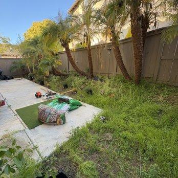 Legend Landscape & Tree Service - Clean up! - Tree Services Near Me - Escondido , California Legend Landscape & Tree Service - Clean up! - Tree Services Near Me - Escondido , California