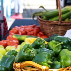 Laurelton Farmers Market - Fresh produce for sale at Laurelton Farmers Market