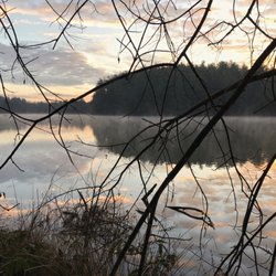 Katharine Donovan Kane - Dawn at the geese pond in North Carolina.