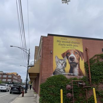 PAWS Chicago Adoption Center - Animal Shelters Near Me - Chicago, Illinois PAWS Chicago Adoption Center - Animal Shelters Near Me - Chicago, Illinois
