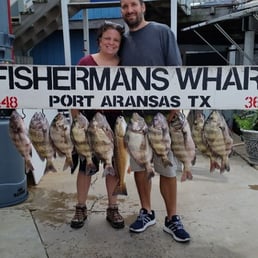 Our limit of sheepshead with a lonely keeper redfish Our limit of sheepshead with a lonely keeper redfish