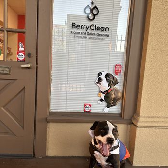 BerryClean - Home Cleaning Near Me - Oakland, California BerryClean - Home Cleaning Near Me - Oakland, California