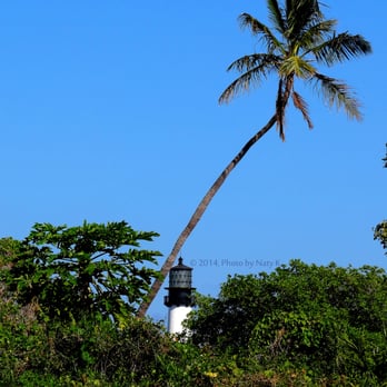 Bill Baggs Cape Florida State Park - As seen from the path: a unique view of the lighthouse as it is framed by a palm tree. - Parks Near Me - Key Biscayne, Florida