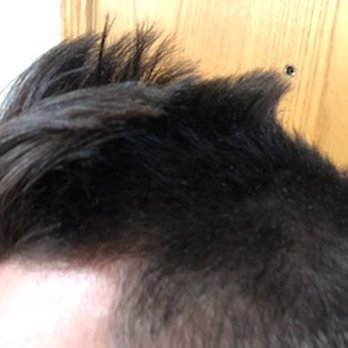 Lincoln Square Barber Shop - The whole back part is cut off. - Barbers Near Me - Chicago, Illinois Lincoln Square Barber Shop - The whole back part is cut off. - Barbers Near Me - Chicago, Illinois