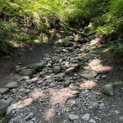 Grand Ridge Park - Sad days! Creeks are drying up