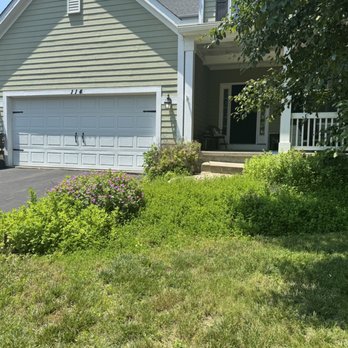 Nava Landscaping & Tree Service - Before - Tree Services Near Me - Columbus, Ohio