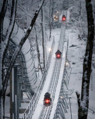 Wilderness Run Alpine Coaster by null