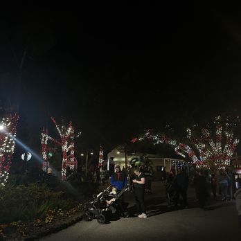 Christmas In The Wild - Festivals Near Me - Tampa, Florida Christmas In The Wild - Festivals Near Me - Tampa, Florida