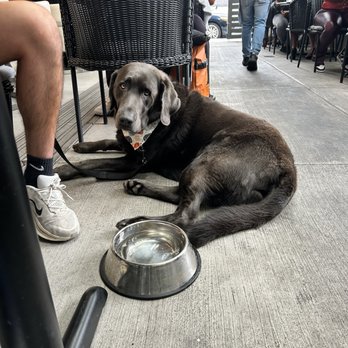 Sweet Maple  - Dog friendly, covered outdoor patio - New American Near Me - Walnut Creek, California