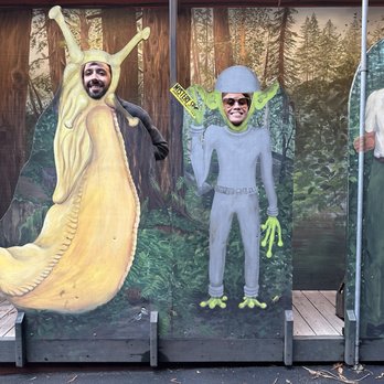 Mystery Spot - Amusement Parks Near Me - Santa Cruz, California Mystery Spot - Amusement Parks Near Me - Santa Cruz, California