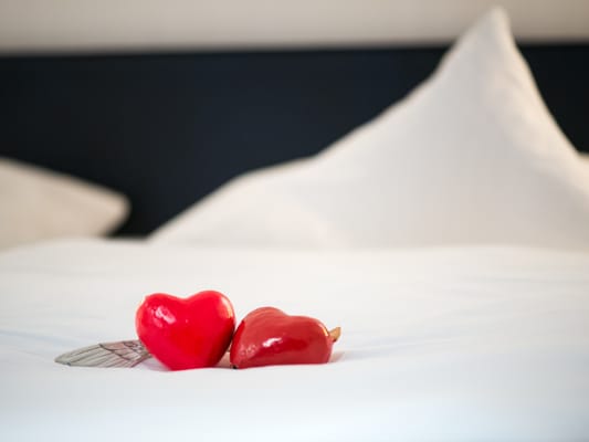 Hotel Am Triller by null