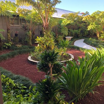 SCP Hilo Hotel - SCP Hilo Hotel - Hotels Near Me - Hilo, Hawaii SCP Hilo Hotel - SCP Hilo Hotel - Hotels Near Me - Hilo, Hawaii
