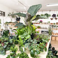 Leaf & Vine, Urban Plant Shop