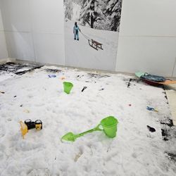 Snow room