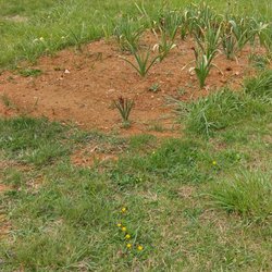 Boyko Funeral Home - There were many plots with no names. There is no excuse for having loved ones recently buried with no identification for there loved ones .