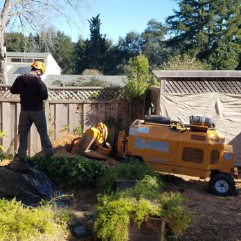 Williams Tree Sevice - For my post about huge stump removal. - Tree Services Near Me Williams Tree Sevice - For my post about huge stump removal. - Tree Services Near Me